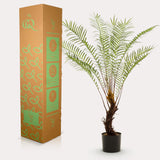 Planta de arte - Boomvaren - x15 -1 25cm