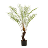 Planta de arte - Boomvaren - x15 -1 25cm