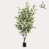 Kunstplant - Eucalipto - Gomboom azul - 140cm - 140